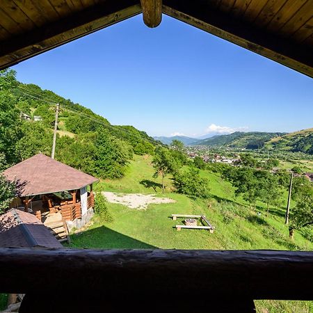 Cabana Din Revier Viseu de Jos Dış mekan fotoğraf