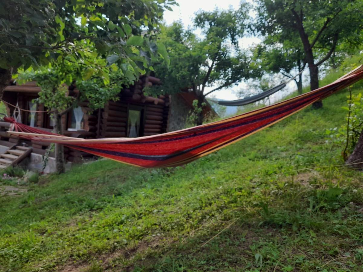 Cabana Din Revier Viseu de Jos Dış mekan fotoğraf