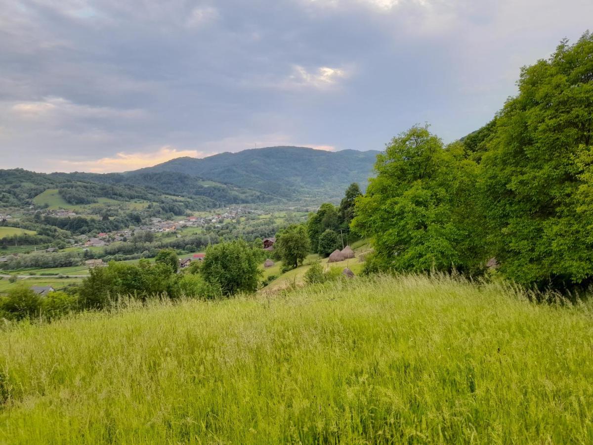 Cabana Din Revier Viseu de Jos Dış mekan fotoğraf