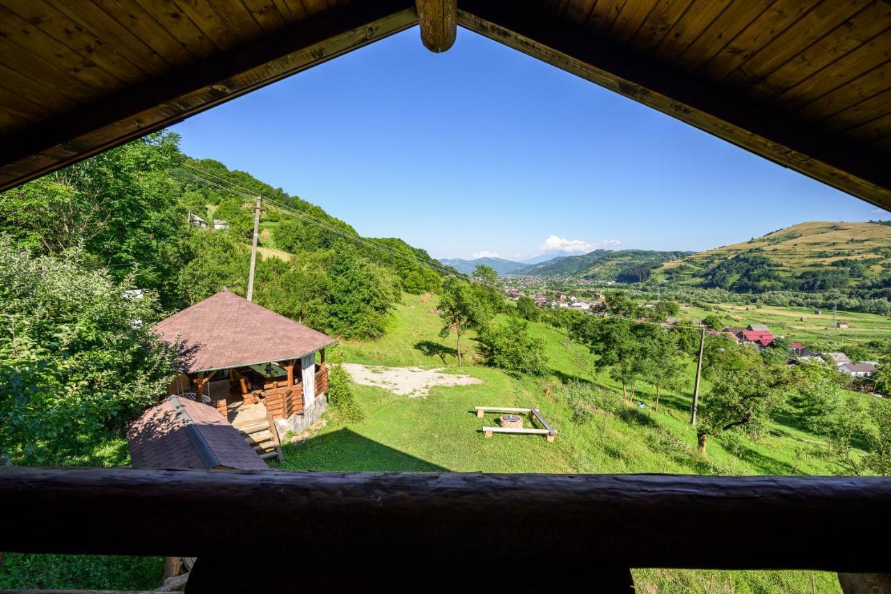 Cabana Din Revier Viseu de Jos Dış mekan fotoğraf