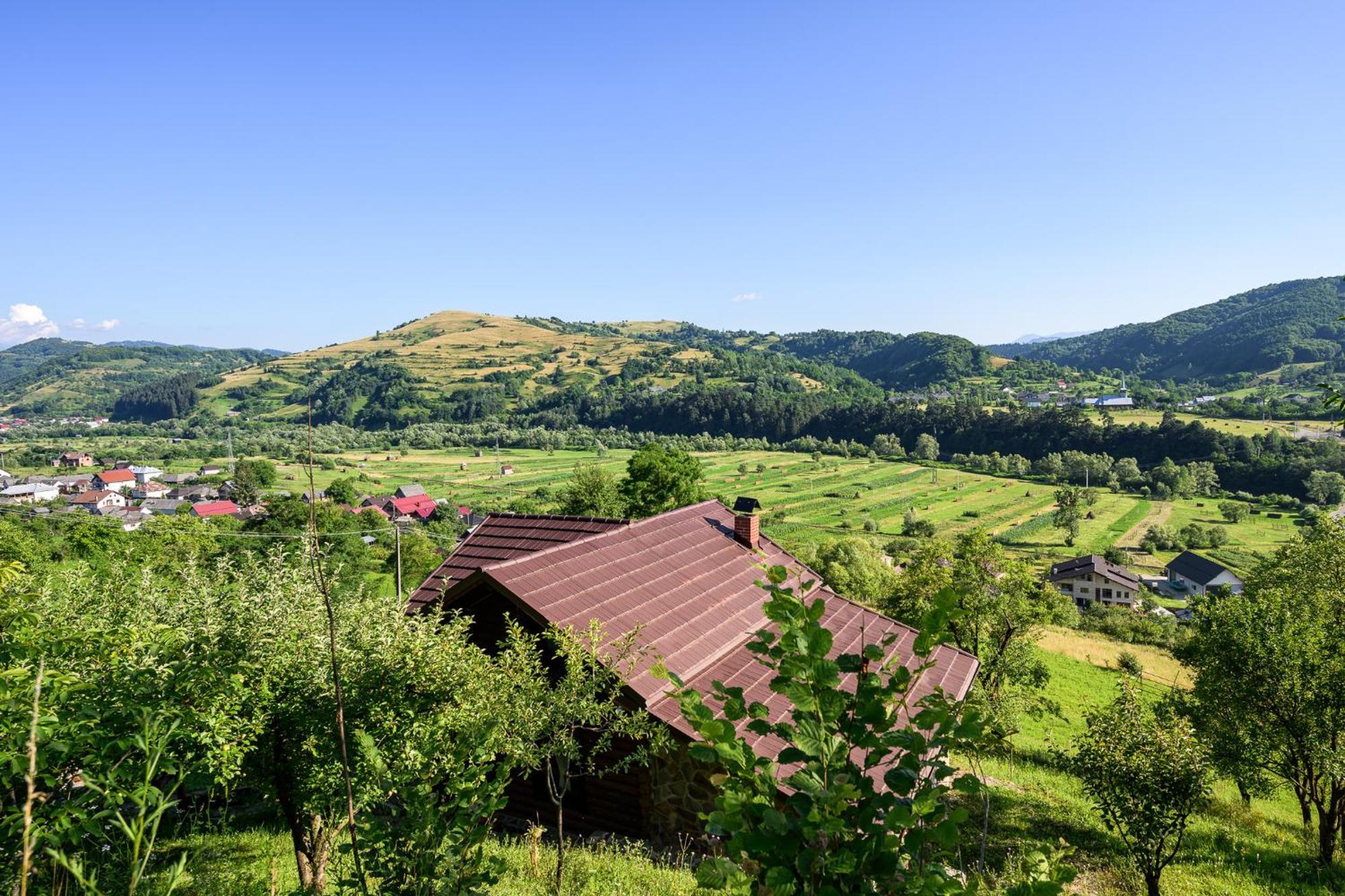 Cabana Din Revier Viseu de Jos Dış mekan fotoğraf